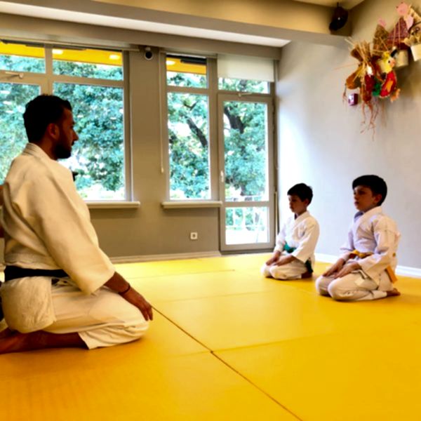 aikido sensei