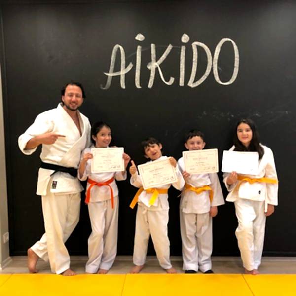 aikido diploma